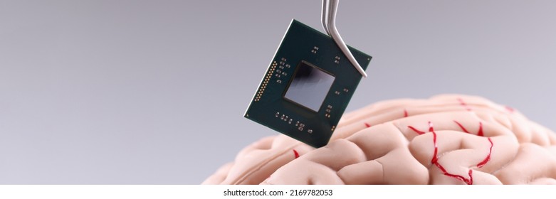 Human Brain Computer Chip Microprocessor Head Stock Photo 2169782053 ...