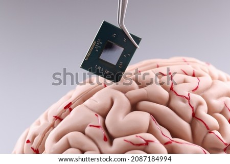 Human brain and computer chip. Microprocessor in head