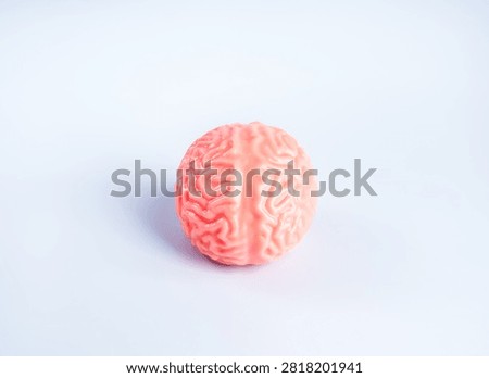 Human brain concept representing cognitive longevity, memory health, healthy brain aging, Alzheimer's prevention, neuroscience, mental wellness and cognitive performance for lifelong brain health.