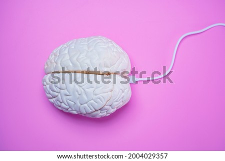 Human brain connected with USB wire cord concept
