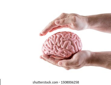 Human brain covered by hands isolated on white background with clipping path - Shutterstock ID 1508006258