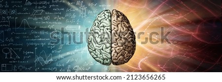 The human brain is a creative background. The right creative hemisphere compared to the left logical hemisphere. A concept on the topic of education, science and medicine.