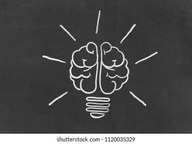 Human Brain Diagram