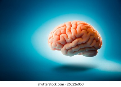 Human brain floating on a blue background / Selective focus