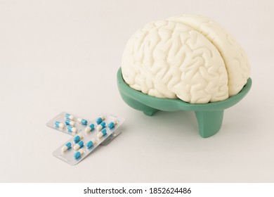 Human Brain Hemisphere Model And Pills Capsules In Blister On White Background. Anatomical Structure Human, Physiology, Medicine, Neurology, Study Guide Pharmacy, Painkillers, Drug, Abuse Concept