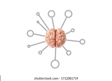 Human brain and memory, concept. Creative problem solving, science of the mind. - Powered by Shutterstock - Get 15% off with code: PIKWIZARD15