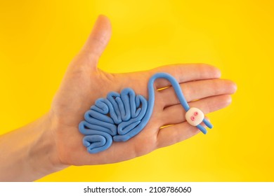 Human brain mock  up and wire   plug  Charge your brain  A model the brain the human hand  Motivation   energy for life  Human anatomy  Mental health   rest concept 