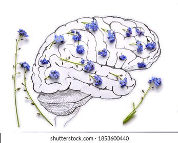 Human Brain Neocortex Pencil Drawing With Blue Flowers.