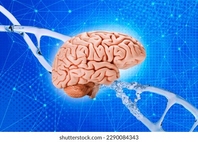 human brain on DNA helix background, deoxyribonucleic acid, nucleic acid molecules, human genome research method, artificial intelligence, regulation interneuronal contacts, microdamages DNA neurons - Powered by Shutterstock