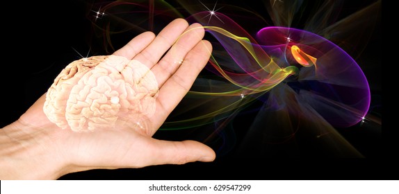 The Human Brain On An Open Palm On A Black Background. Hypnosis Mysteries. The Subconscious Mind