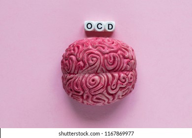 Human Brain With The Word OCD. Mental Health Concept