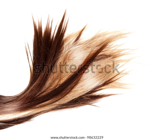 Human Brown Blonde Hair On White Stock Photo Edit Now 98632229
