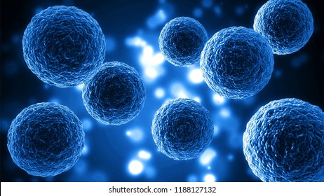 Human Cell Molecule