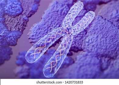 Human cell violet chromosome, medical concept