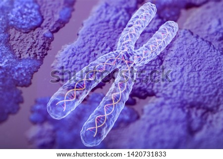 Human cell violet chromosome, medical concept