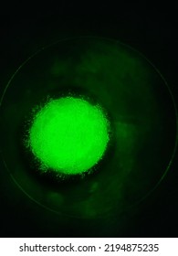 Human Colon Cancer Cells That Have Reached The State Of Confluence.