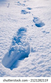 Human Deep Footprints In The Snow Under Sunlight Close-up View. Texture Of Snow Surface, Overhead View.