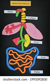 Human Digestive System Black Background Stock Photo 1993392830 ...