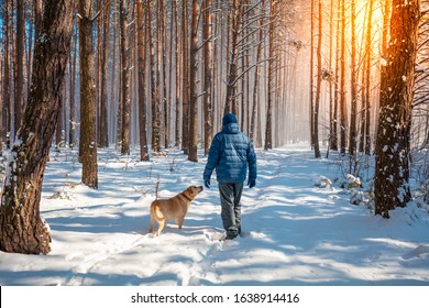 A human and a dog are best friends.  Man and dog walk in snowy forest in winter in deep snow on a sunny day.  - Powered by Shutterstock