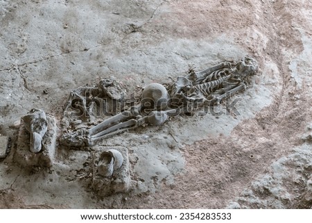 Human and dog skeletons with Dvaravati period items discovered in Si Thep Historical Park, Phetchabun Province, Thailand.