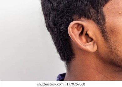 Human Ear - Close up of man ear Its body part helps to hearing sound waves. Face with a human ear and hair. Portrait of indian man and shoes on his ears isolated on white background with copy space.