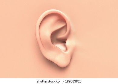 Human Ear Close Up Without Any Hair Surrounding 