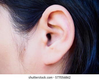 Human Ear Closeup