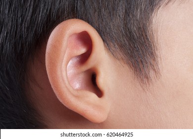 Human Ear Closeup.