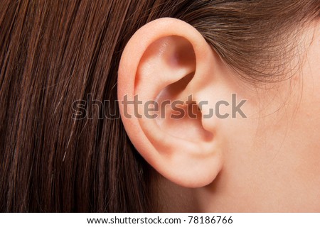 Human ear closeup