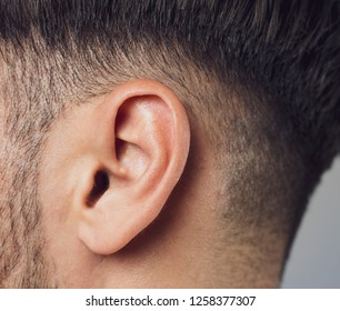 human ear close-up shot - Shutterstock ID 1258377307