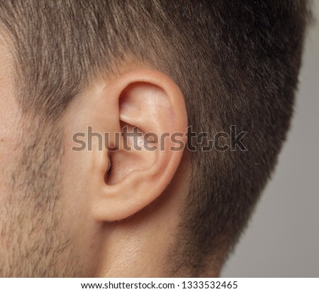 human ear  close-up shot  or ear ent doctor check