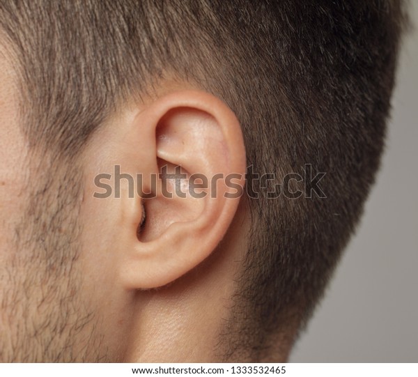 human ear \
close-up shot  or ear ent doctor\
check