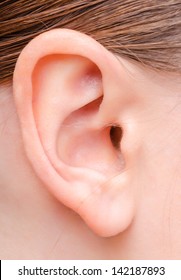 Human Ear Image Of A Young Woman Close Up