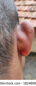 ear reference
