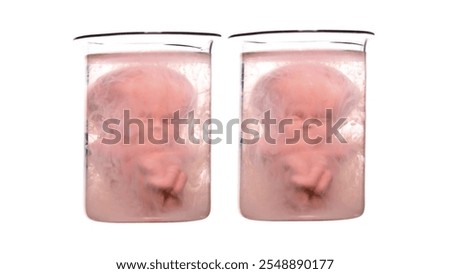 Human embryos model in vitro with a disproportionately large head and possible hydrocephalus. close-up