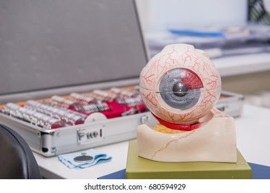 Human Eye Anatomy Model On The Background Of Set Of Corrective Lens. Abstract Background To Ophthalmology Concept. Selective Focus, Space For Text