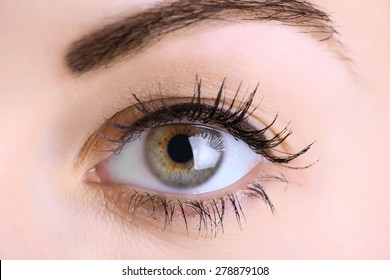 Human Eye Close Stock Photo (Edit Now) 278879108