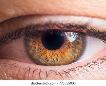 Human eye close up