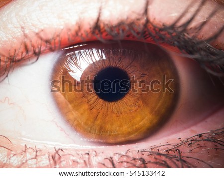 Similar – eye droplets Eyes Eyelash