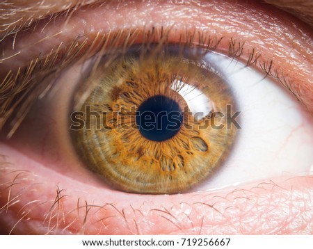 Human eye close up