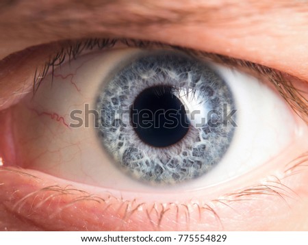 Human eye close up