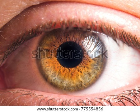 Human eye close up