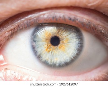 Human Eye Close Up Detail