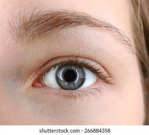 人間目 Images Stock Photos Vectors Shutterstock