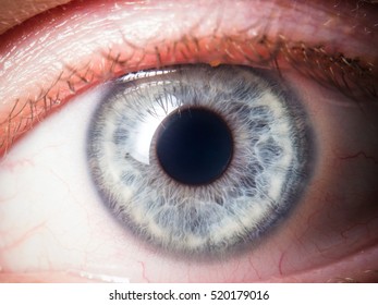 Human Eye Closeup Stock Photo (Edit Now) 520179016