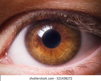 Royalty Free Human Eye Close Up Stock Images Photos Vectors