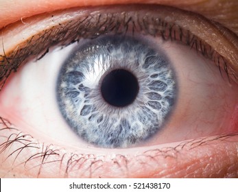 1000 Eye Stock Images Photos Vectors Shutterstock