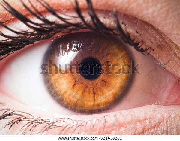Human Eye Closeup Detail Stock Photo (Edit Now) 521438281