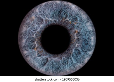 Human Eye Close-Up | Iris Macro Photography