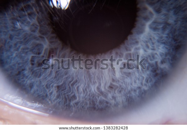 Human Eye Closeup Macro Detailied Iris Stock Photo Edit Now